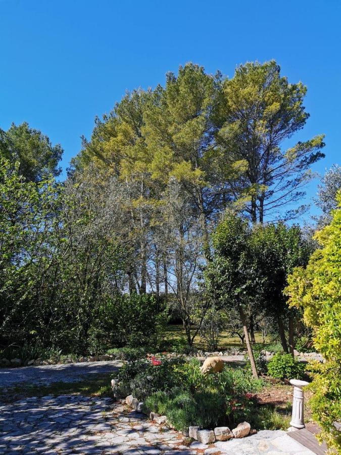 La Maison Du Soleil Provence Драгиньян Экстерьер фото